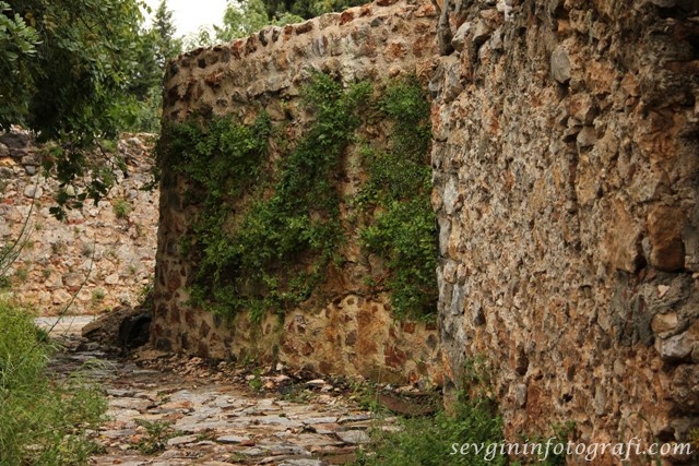 yaşamak1