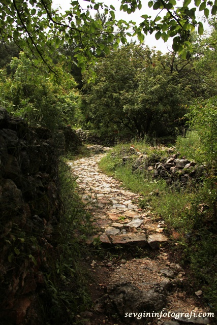 yürüyüş