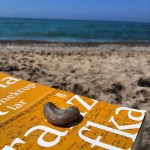 frans kafka / milena’ ya mektuplar