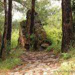 Yol Bulmak